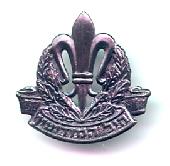 IDF cap badge